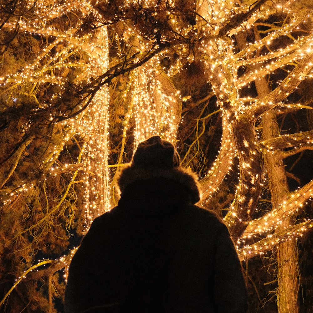 Person alone admiring lights